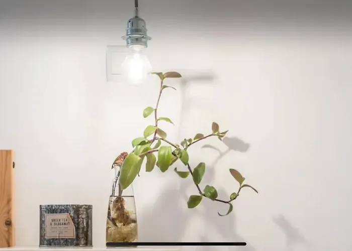 別荘 Traditional Townhouse With Private Patio And Pool