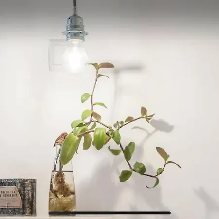 Holiday home Traditional Townhouse With Private Patio And Pool